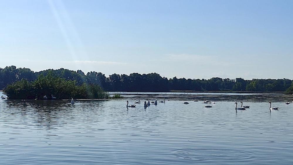 Ferienwohnung Am Olbasee Malschwitz Экстерьер фото
